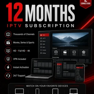 Abonament IPTV – 12 miesięcy – 2 podłączenia